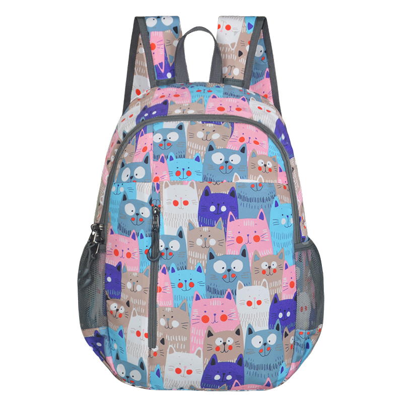 Cute cat